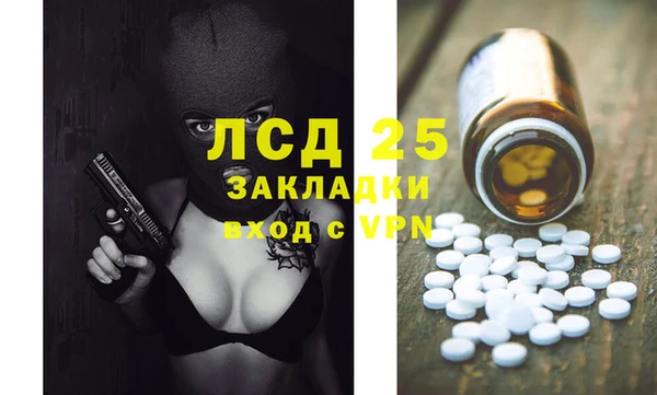 spice Богданович