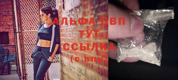 spice Богданович