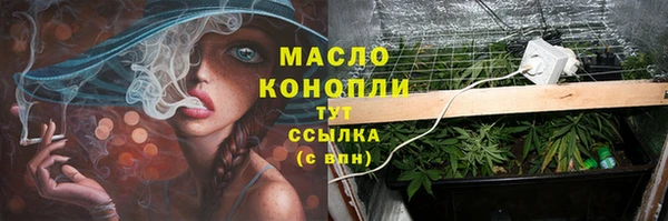 spice Богданович