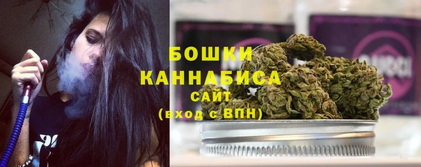 spice Богданович