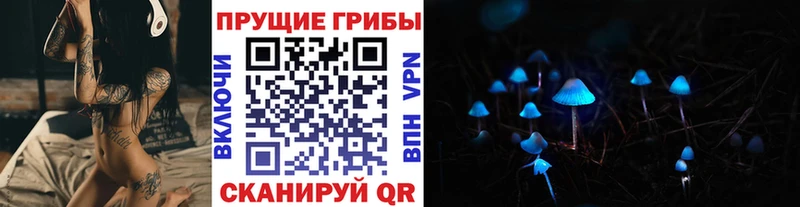 Псилоцибиновые грибы GOLDEN TEACHER наркота Гусев
